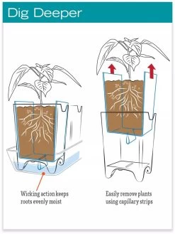 Stoneware Self-Watering Windowsill Planters, Set Of 2 11 Stoneware Self-Watering Windowsill Planters, Set Of 2 -Garden Care Shop hiw 8593943 jpg