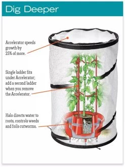 Tomato TLC Kits, Set Of 3 11 Tomato TLC Kits, Set Of 3 -Garden Care Shop hiw 8594214 jpg